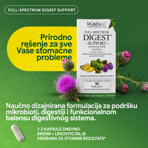 3 Digest