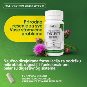 3 Digest