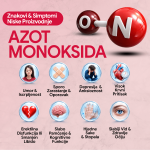 4 Cardigena_