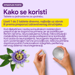 6 SYNAFLEX FORTE